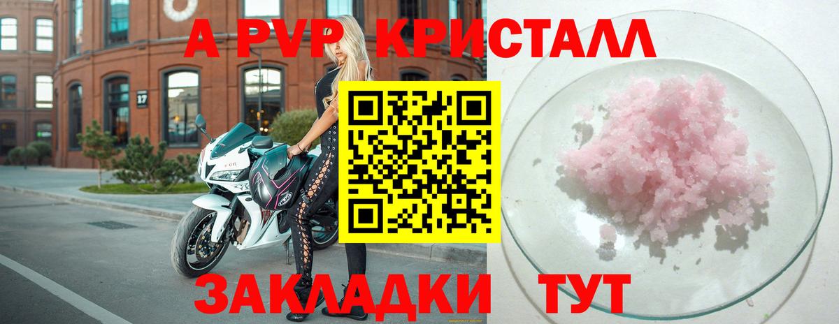 Альфа ПВП СК КРИС Петровск