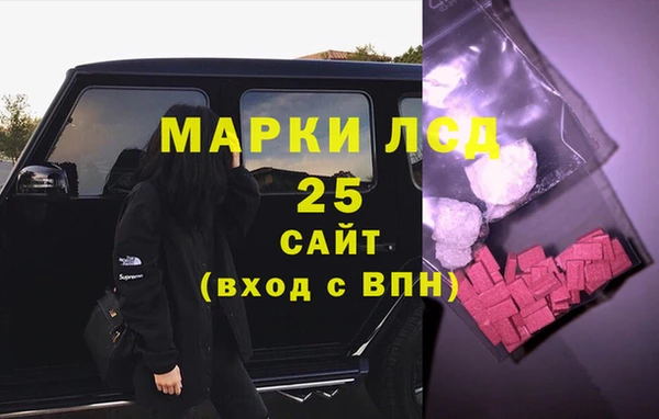 сатива Осинники