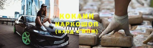 сатива Осинники