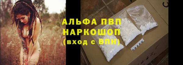тгк Пересвет