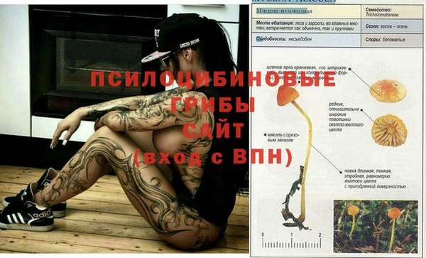 MESCALINE Няндома