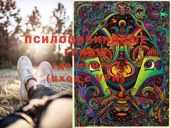 сатива Осинники