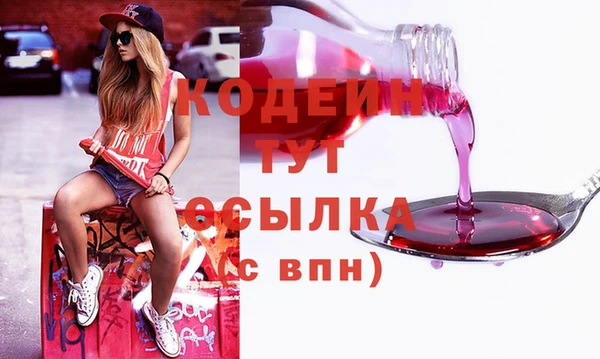 тгк Пересвет