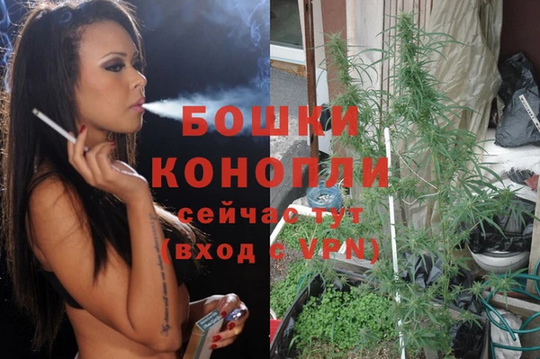 сатива Осинники