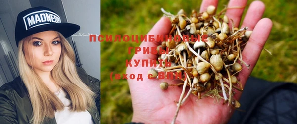 тгк Пересвет