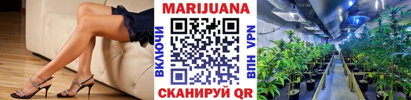 Каннабис сатива  Петровск 