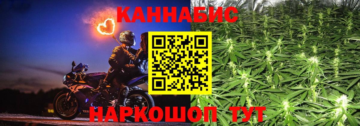 Каннабис семена  Петровск  Шишки марихуана Ganja 